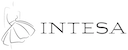 Logo Intesa